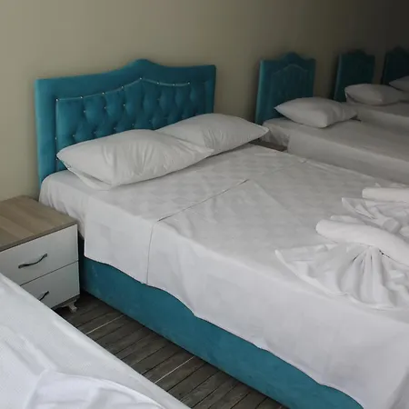 Hotel Gorur *