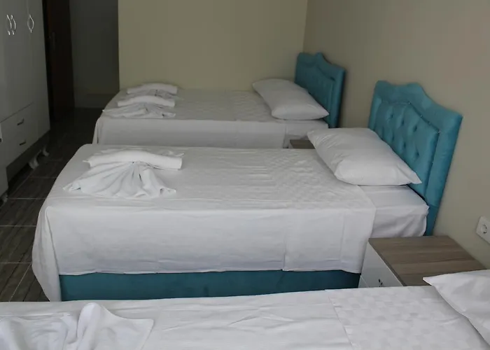 Hotel Gorur Stambuł